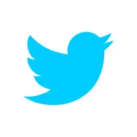 Twitter Link Twitter Link